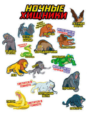 Полная Коллекция, Ночные Хищники (14 шт) Полная Коллекция, Ночные Хищники (14 шт)